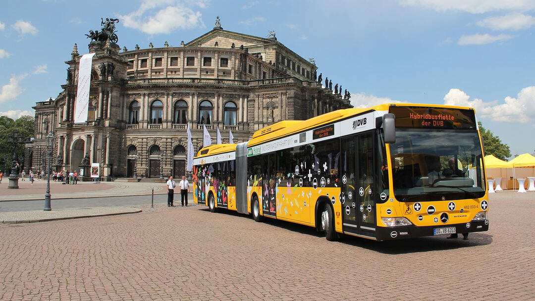 Dresdner Verkehrsbetriebe suchen Lieblingsbusfahrer - Radio Dresden